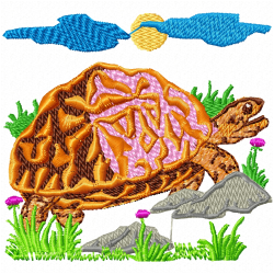 Turtle Embroidery Design 7 Turtle Embroidery Design 7